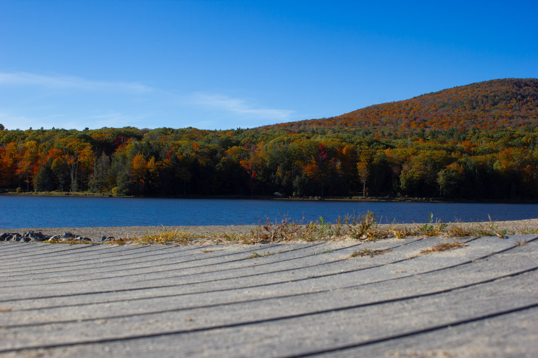 nature and landscape photo